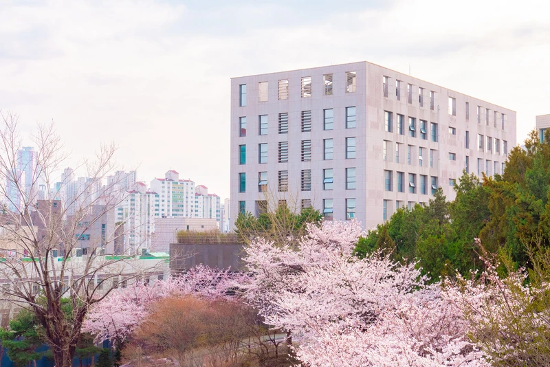벚꽃이 핀 서강대학교 공과대학 건물
